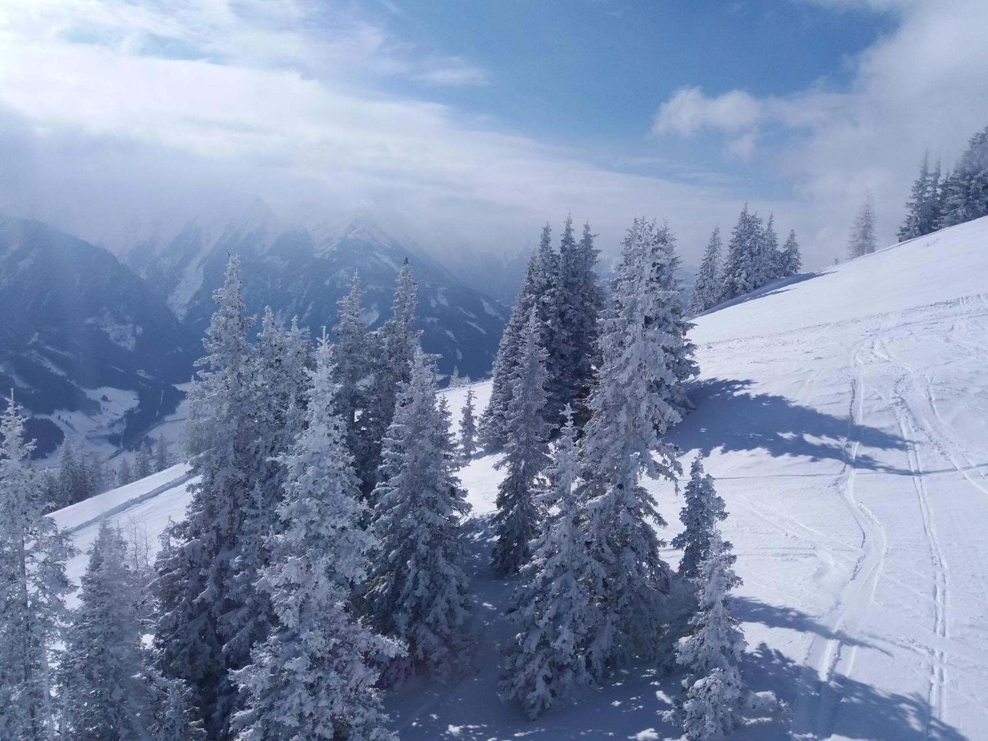 Apartment Wurnitsch Bramberg am Wildkogel Zewnętrze zdjęcie